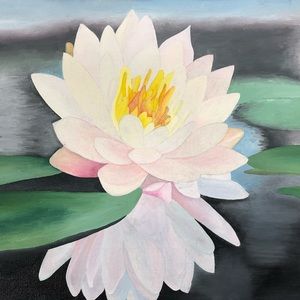 Meet your Posher, Abby